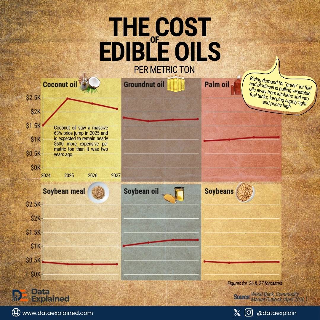COst of edible oils globally_DataExplained