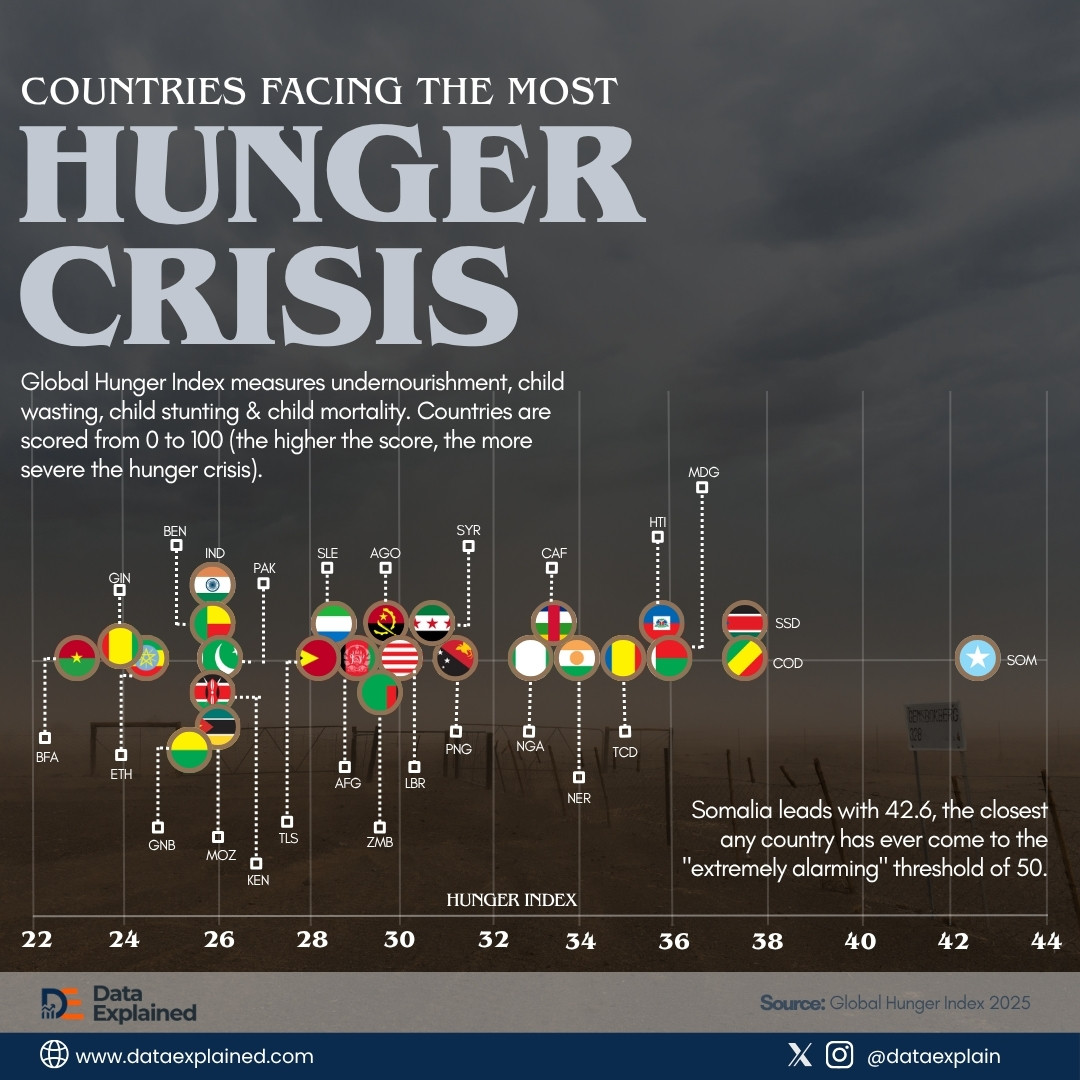 countries with the highest hunger crisis_DataExplained