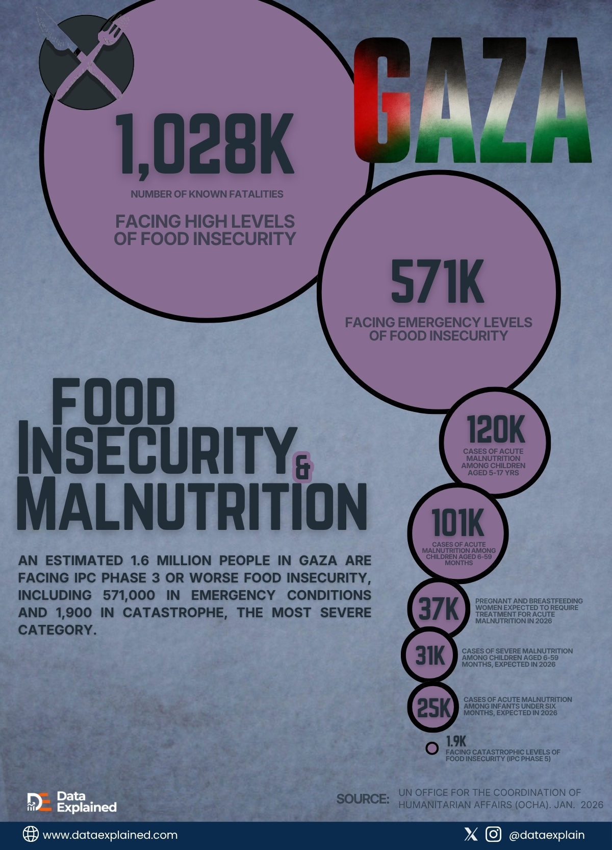 gaza_malnutrition_DataExplained